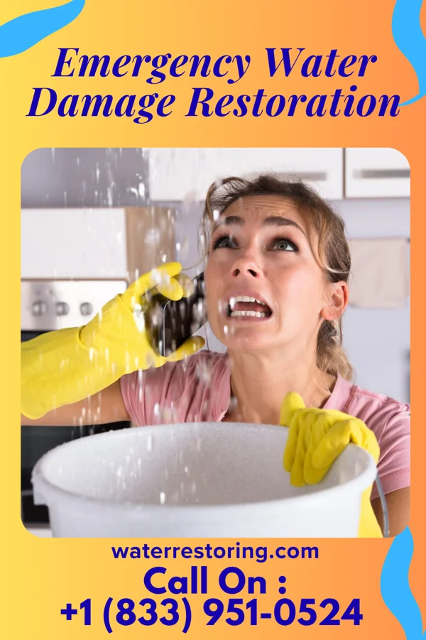 Emergency Water Damage Restoration in Twining, MI