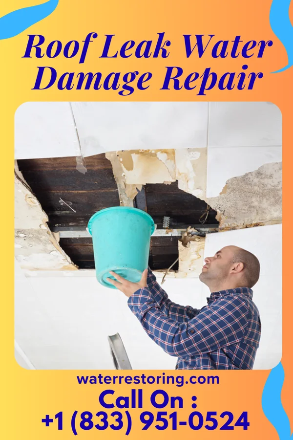 Roof Leak Water Damage Repair in Twining, MI